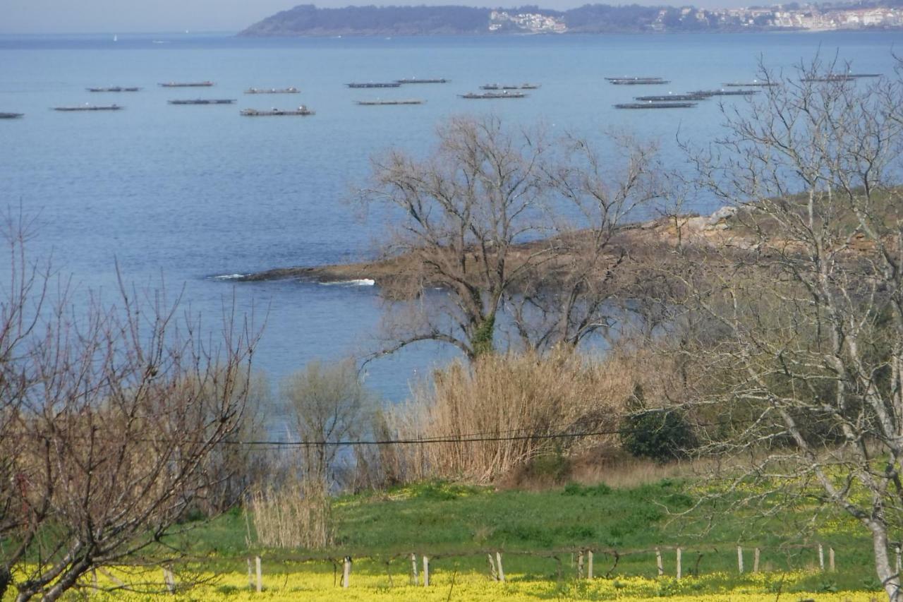Vilaseca 49 Ardan Marin Pontevedra Экстерьер фото